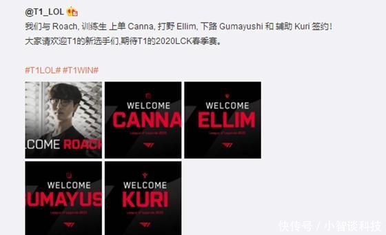 在巴西国家 在巴西国家